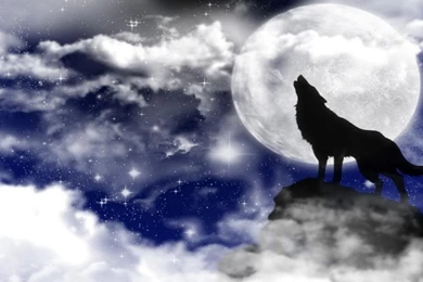 Evening Howl Desktop Wallpapers