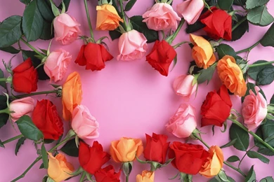 Flowers Wallpapers Part 4   Transformers Wallpapers