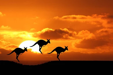 Australia Wallpapers   My Free Wallpapers Hub