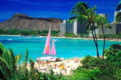 Honolulu Hawaii Wallpapers   1109826
