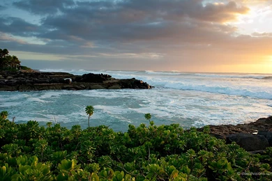 Hawaii Wallpapers Desktop   Bing Images