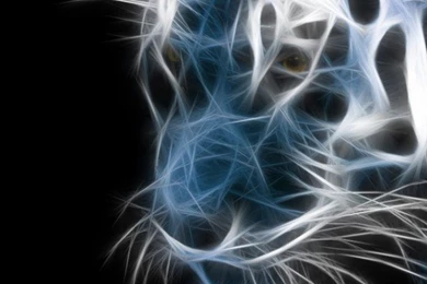 Hd 3d Wallpapers For Iphone 5   HD Beautiful Desktop Wallpapers