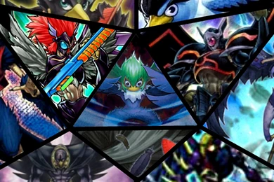 YuGiOh Blackwing Deck YouTube