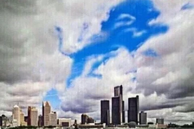 Detroit Lions Everything On Pinterest