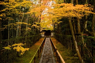 Jeffrey Friedl's Blog » That Amazing Entrance Path Of Kyoto ...