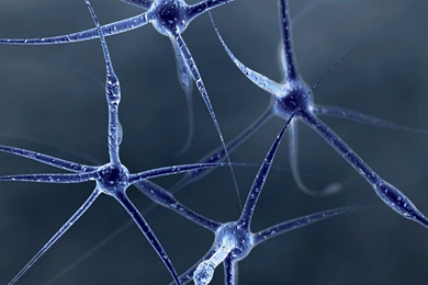 Form, Picture, Unusual, Nice, Wallpapers 16