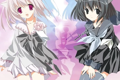 Wallpapers Anime Neko Twin 1024x768