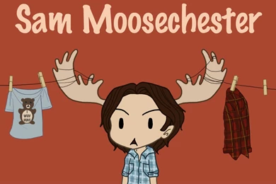 You Are Worth Every Mile.