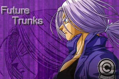 Mirai Trunks   Trunks Wallpapers (24615155)   Fanpop