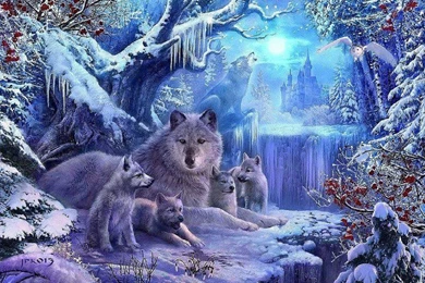 Other: Wolves Winter Fairy Tale Wolf Animals Nature Wolven ...