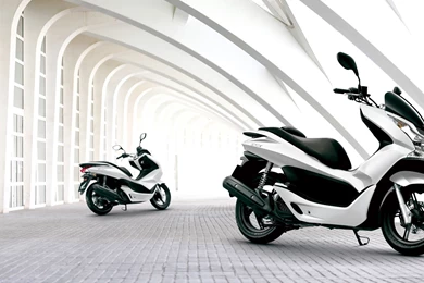 Honda Scooter   Image