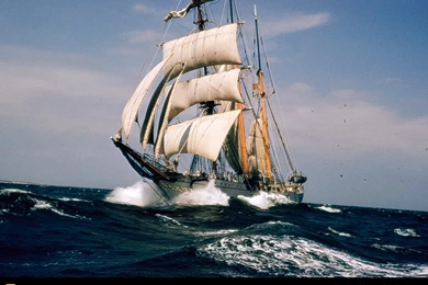 Hampton Roads, Virginia, Sailboat, 1959, Photo Of The Day, Picture ...