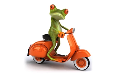 Cartoon Frog Drive Scooter Funny Wallpapers
