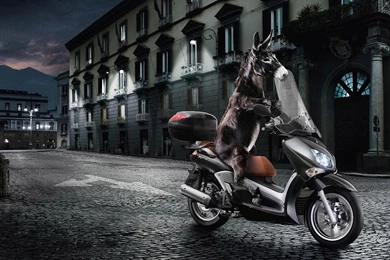 Creative Animal Digital Art Wallpapers 1280x800 NO.14 Desktop ...