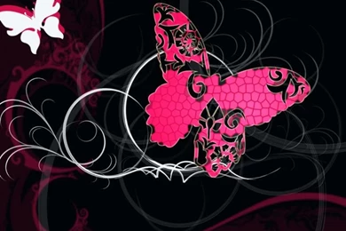 Butterflies Wallpapers On Pinterest