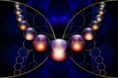 Best 3D Butterfly (id: 93359) – BUZZERG