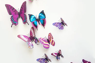 Hot 12pcs 3d Butterfly Magnet Wall Stickers Home Decorative Kid ...