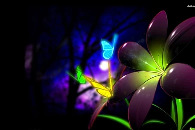 Purple Flower Wallpapers   Digital Art Wallpapers