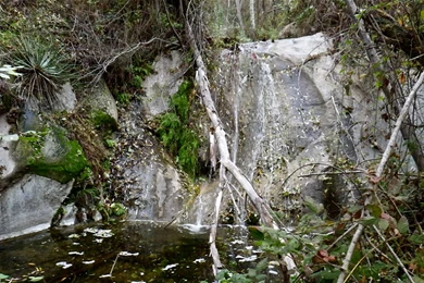 Mossy Oak Camo Wallpapers 28763 HD Wallpapers