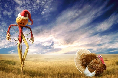 HD Happy Thanksgiving Day Wallpapers