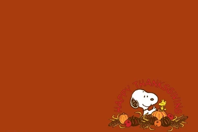 Thanksgiving Wallpapers