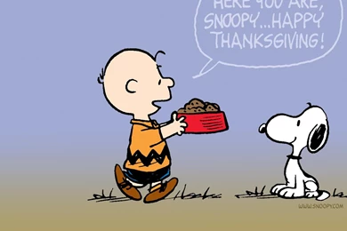 Funny Thanksgiving Images   Wallpapers High Definition