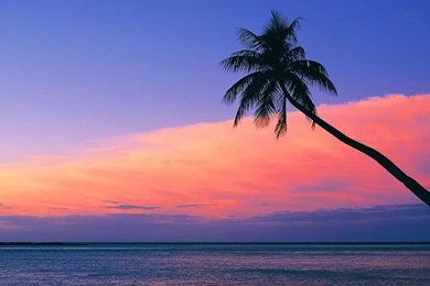 Look At The Pink Sunset From The Beach Wallpapers   Beach Wallpapers