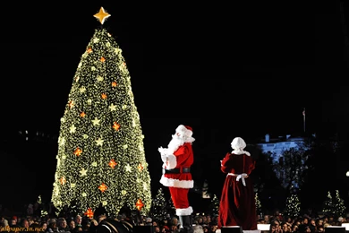 Most Beautiful HD Wallpapers For Christmas Tree