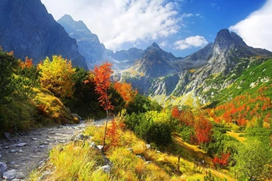 Fall Scenery Wallpapers   Wallpapers High Definition