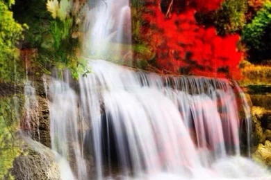 Have A Great Day... From @nuriss_c