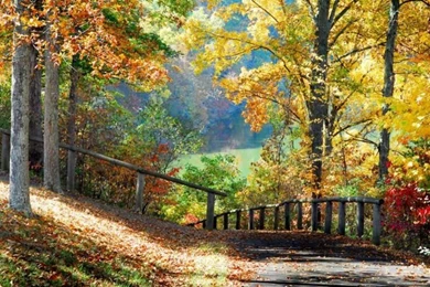 Image Detail For  Autumn Scenery Wallpapers   Download The Free ...