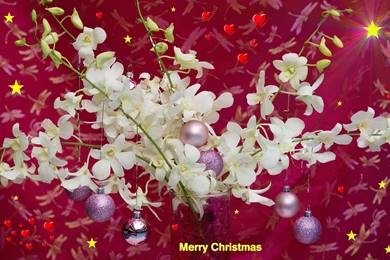 Image Gallery: Wallpapers Christmas (Dec 12 2012 20:35:41)