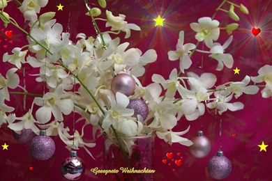 Weihnachten, Wallpaper, Christmas, Widescreen (