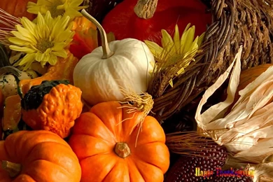 Free Thanksgiving Wallpapers Screensavers   Wallpapers Cave