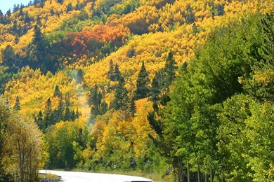 Colorado Fall Scenery   Wallpaper.