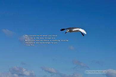 Spiritual Images   Wallpapers HD Wide