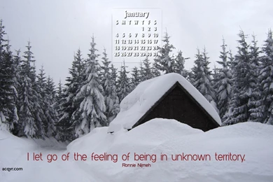 January 2009 Calendar Desktop Wallpapers 1