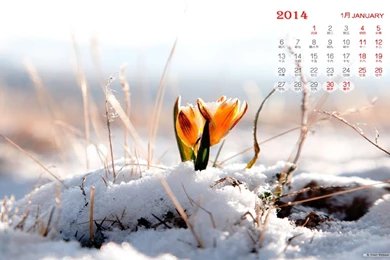Free Wallpapers   Free Art Wallpapers   January 2014 Calendar ...
