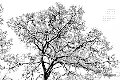 January 2013 Free Desktop Calendar Wallpapers