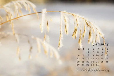 Free Desktop Wallpapers For January 2014