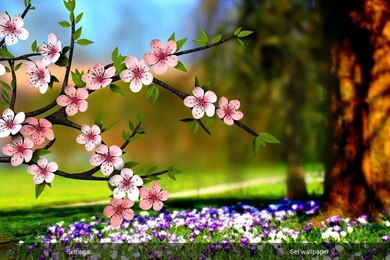 Here's The Live Wallpapers From The Sony Xperia Z2, Ripped And ...