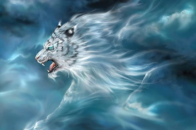 White Tiger Image Wallpapers Hd Stay1010
