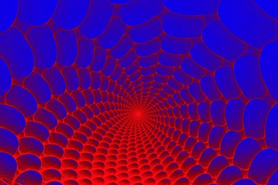 Pics, Facts, Funny Stuff About Animals & Nature Spiderman Web ...