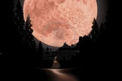 Glowing Fullmoon Backgrounds The Moon Is Completely Round To Use ...