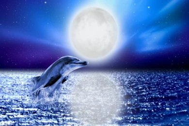 Magic Full Moon Night   (