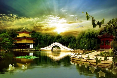 Manipulation Computer Wallpapers, Desktop Backgrounds