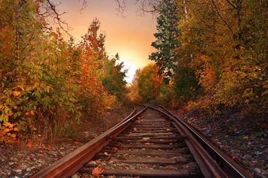 Mixed Feature Pt. 1! :)   Stock By BeccaB323 On DeviantArt