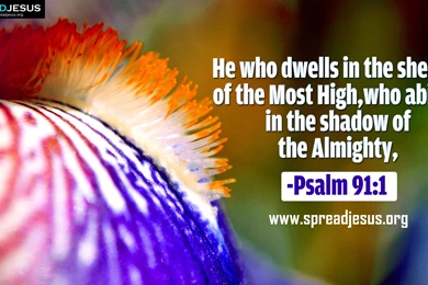 Psalm 91:1 BIBLE QUOTES HD WALLPAPERS FREE DOWNLOAD