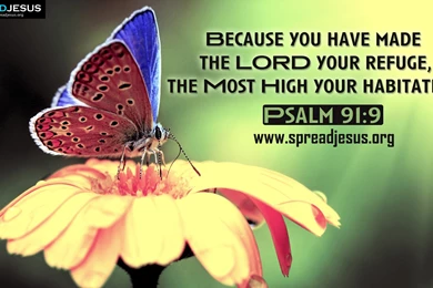Psalm 91 Quotes. QuotesGram