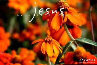 Jesus Beautiful Savior 3